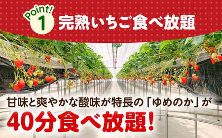 いちご狩り 40分食べ放題 ペア参加券  いちご 苺 いちご狩り 食べ放題 愛西市 / 有限会社マロンライフ[AEBN001]