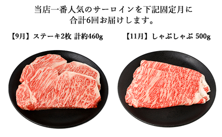 【年6回】伊賀牛 A5サーロイン 定期便コースC 総合計約2.9kg【dido-tkb0011】