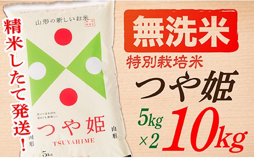【令和8年産予約】【無洗米】山形県産つや姫10kg(5kg×2袋)