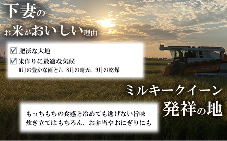 13-M310茨城県産ミルキークイーン12kg（5kg×2袋、2kg×1袋）