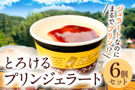 とろけるプリンジェラート 90ml×6個 グローバルアリーナ 《45日以内に出荷予定(土日祝除く)》 福岡県 鞍手郡 鞍手町 プリン ジェラート GA倶楽部 デザート 味宝卵 お菓子 スイーツ 冷凍