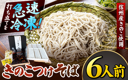 きのこつけそば6人前