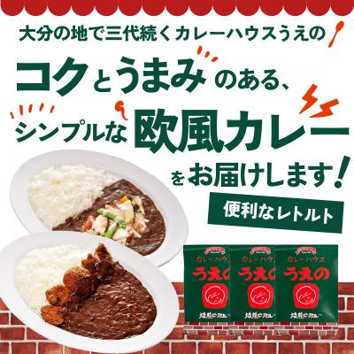 ふるさと納税 大分市 九州クラフト うえの焙煎ビーフカレー レトルト 3袋_K03042 |  | 01