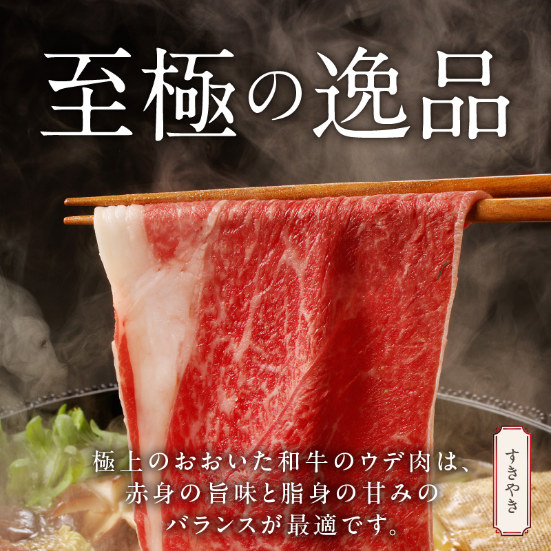 【贈答用】A4～A5等級 おおいた和牛ウデ肉スライス800g（1パック）_2420R_イメージ3