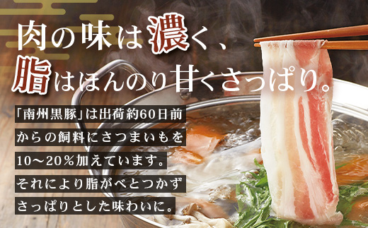 鹿児島県産 黒豚 しゃぶしゃぶ＆テキカツセット 3種 セット 約760g（肩ローススライス200g×2・バラスライス200g×2・ローステキカツ90g×4） NS-503 ｜ 肉 お肉 豚肉 豚 にく