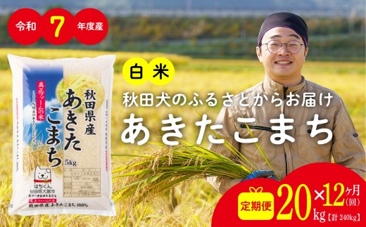 【定期便12ヶ月】秋田県産あきたこまち(白米)20kg　/ 米 20kg 白米 令和7年産 秋田県産 あきたこまち 5kg×4袋 おにぎり 大館 東北 秋田 小分け こわけ 大館市 20キロ 20ｷﾛ 20きろ