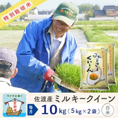 ふるさと納税 佐渡市 【毎月定期便】佐渡島産ミルキークイーン 白米10kg 特別栽培米全9回