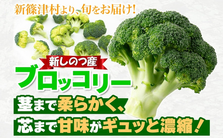 北海道 新しのつ産 ブロッコリー 20玉 冷蔵 野菜 旬 食感 茹でる レンジ サラダ 炒め物 オーブン焼き おかず お弁当 甘い お取り寄せ 国産 農作物 JA 新篠津村 
