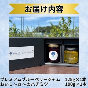 長野県産 ブルーベリージャム125gとはちみつ100gセット（各1本/化粧箱入） 信州 佐久市 無添加 国産 アカシア 蜂蜜 ハニー パン ヨーグルト はちみつ