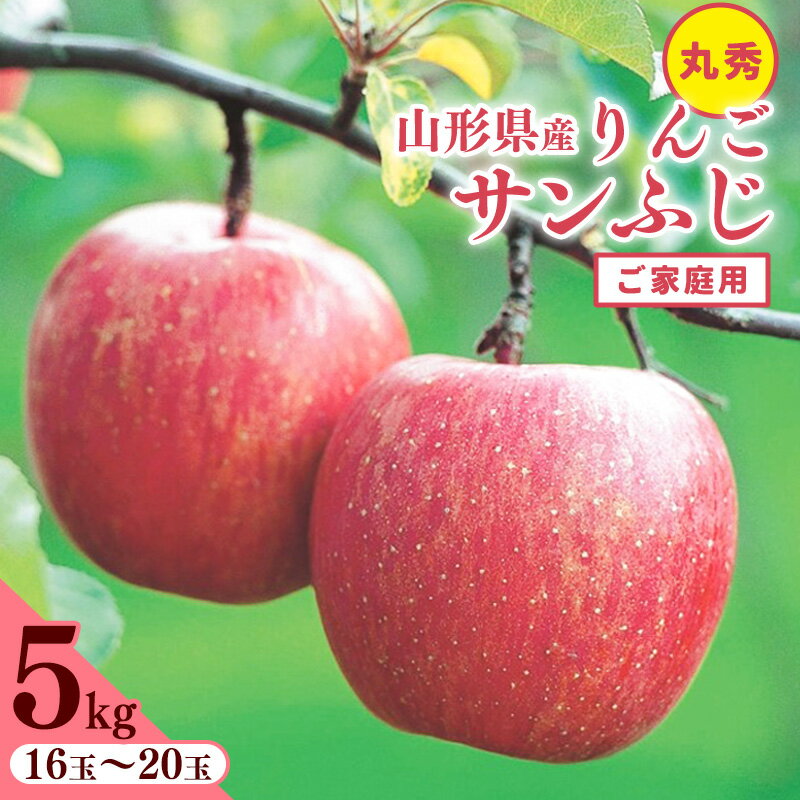 【ふるさと納税】 りんご 5kg「サンふじ」 丸秀品 (16〜20玉) 《家庭用》山形県産【2025年11月中旬頃〜12月頃発送予定】／ お取り寄せ ご当地 特産 産地直送 果物 フルーツ 季節 冬 デザート おやつ 林檎 アップル 5キロ 2025年産 令和7年産 東北 山形
