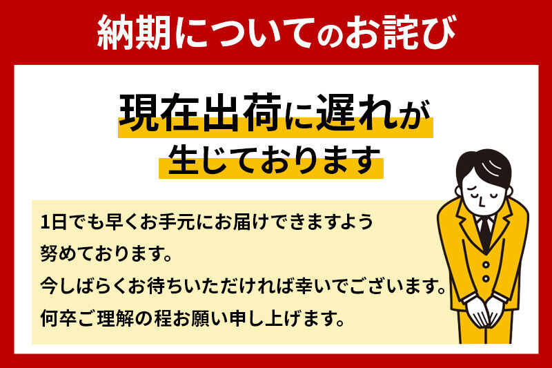 《3ヶ月ごとに4回お届け》定期便 トイレットペーパー スコッティ フラワーパック 3倍長持ち〈無香料〉4ロール(ダブル)×12パック 新生活 [トイレットペーパー 定期便]