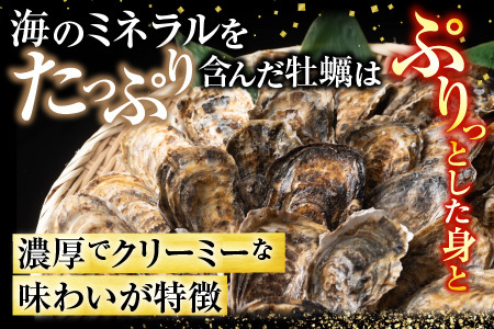 【北海道根室産】貝付き牡蠣30個 B-54006