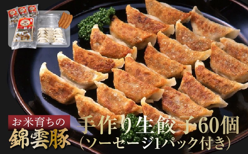 
            【ブランド豚肉】お米育ちの錦雲豚　手作り生餃子60個（ソーセージ1パック付き）　FN0702
          