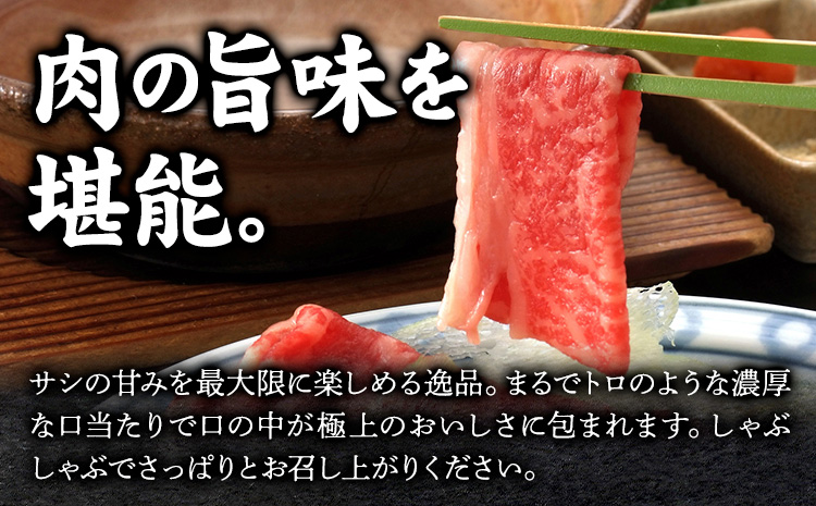 【年間10頭!】大川原高原牛 特選ロースしゃぶしゃぶ 500g 肉の藤原《30日以内に出荷予定(土日祝除く)》和牛 希少 佐那河内 さなごうち 大川原高原 牛肉 鍋 特選 ロース 贅沢 冷しゃぶ サラ