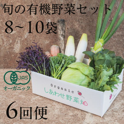【ふるさと納税】【毎月定期便】しあわせ野菜畑の有機野菜　Mセット　(安心の有機JAS認証　オーガニック野菜)全6回【配送不可地域：離島・北海道・沖縄県・四国・九州】【4066007】