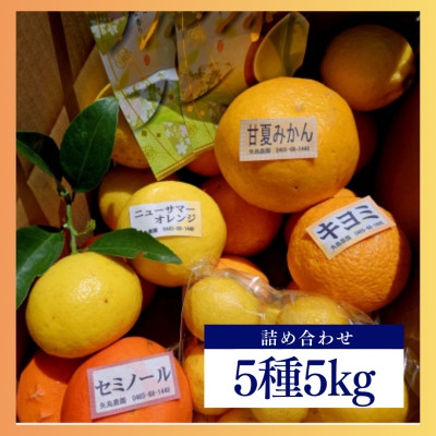 
            新茶とみかん季節の柑橘詰め合わせ5種5kg一箱でいろんな味が楽しめる農家直送みかんBox＜先行受付＞【1617064】
          