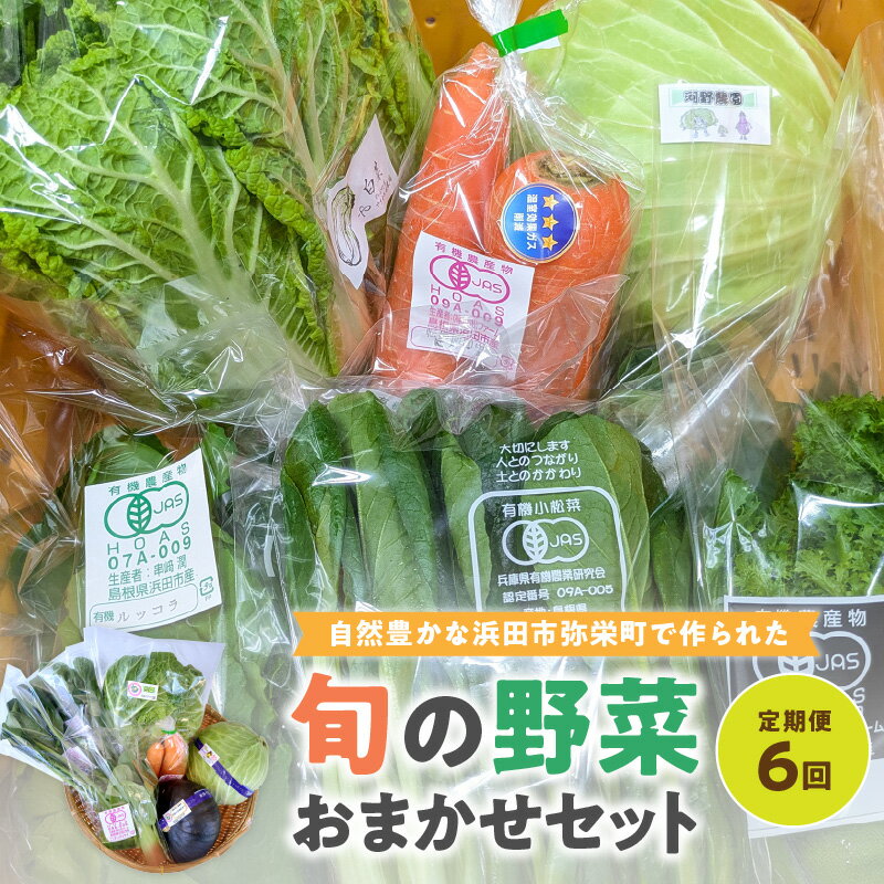 【ふるさと納税】自然豊かな浜田市弥栄町で作られた「旬の野菜おまかせセット」(6回コース) 野菜 定期 6回 旬 詰め合わせ おまかせ 直送 野菜セット セット 【109_0330】