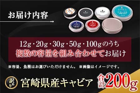 訳あり≪数量限定≫5つ星ホテル採用★宮崎県産キャビア詰め合わせセット(合計200g)　魚　魚介　国産 W2-23