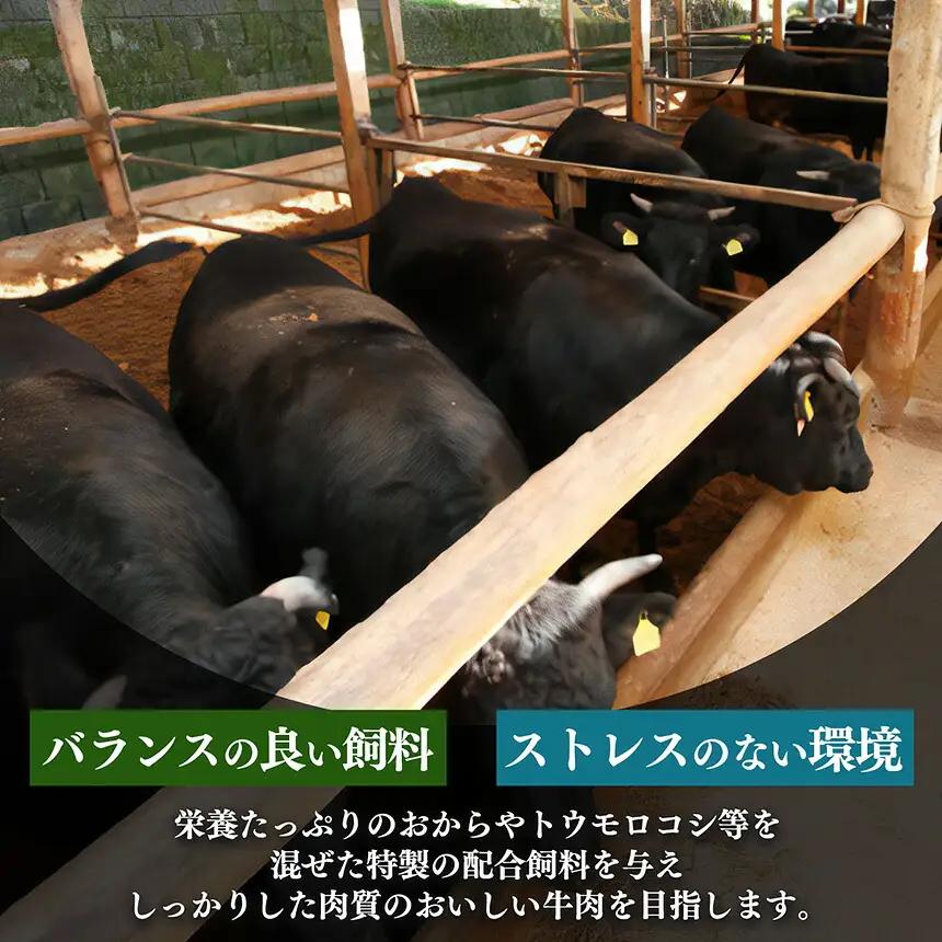 【 定期便 6回 】 小分け 国産牛 こまぎれ 600g ( 300g x2) ｜ブランド牛 和牛 金井畜産