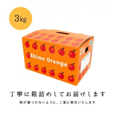 【南国を感じさせる独特の香り】愛媛ポンカン 3kg【C20−60】【1620341】