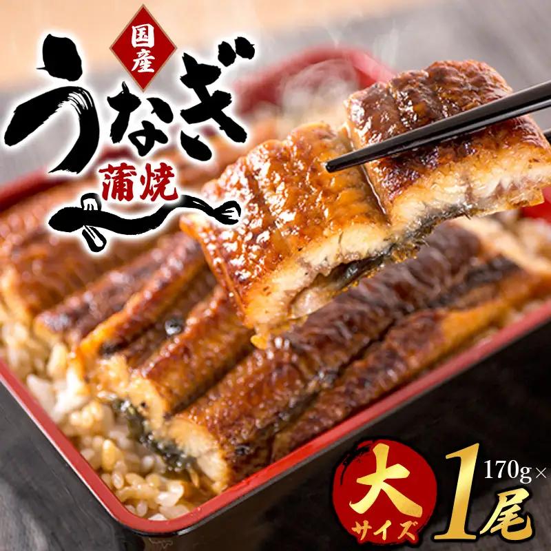 うなぎ 国産 うなぎ蒲焼き 約170g×1尾【uot714B】