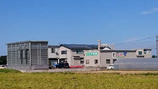 【令和7年産】富山県産こしひかり　育（はぐくみ）白米２個セット 3kg×2個 《南砺の逸品》 6kg（内容量3kg×2個）