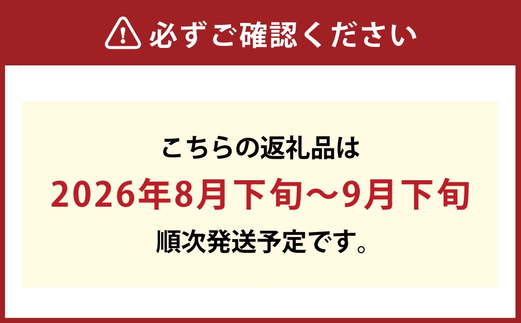 ニューピオーネ2房 化粧箱入り（合計約940g）