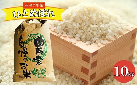 農家直送！精米 令和7年度産 宮城県亘理町産 ひとめぼれ 10kg