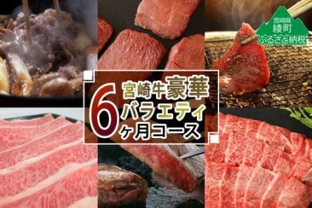 【定期便】宮崎牛豪華バラエティ6か月コース 4.6kg（36-201）