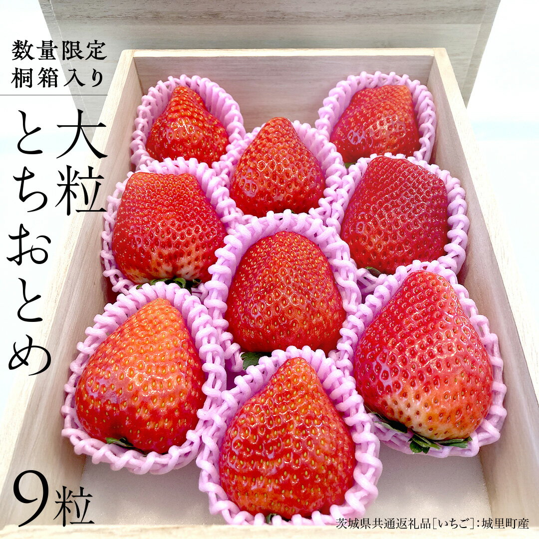 【ふるさと納税】【数量限定】桐箱入り 大粒いちご とちおとめ 9粒（茨城県共通返礼品 [いちご]：城里町産） 果物 フルーツ 苺 イチゴ スイーツ 数量限定 人気 ギフト プレゼント 贈答 ケーキ グルメ デザート おやつ お菓子