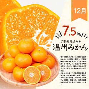 定期便【全3回/10・11・12月】紀州和歌山産旬のご家庭用果物定期便 (ひらたねなし柿・富有柿・みかん)【tkb379】