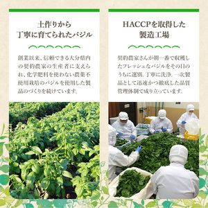 ファインド・ニューズ＜バジル&マスタード＞スペシャルセレクトセット(合計240g・4種)調味料 ソース バジル マスタード バーニャカウダ セット【109300100】【ファインド・ニューズ】