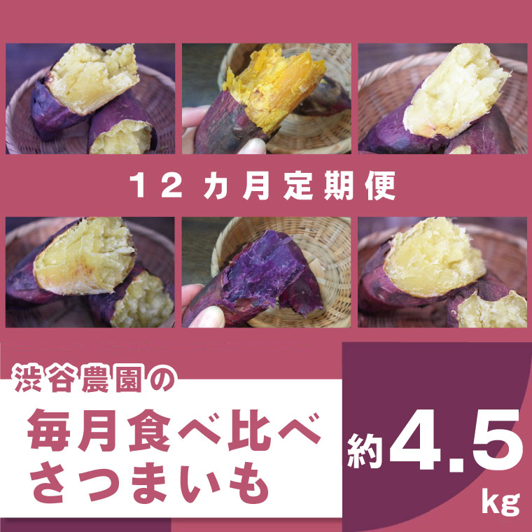【ふるさと納税】【12ヶ月定期便】渋谷農園の毎月食べ比べさつまいも 約4.5kg｜さつまいも サツマイモ さつま芋 お芋 食べ比べ 定期便 毎月 紅はるか きみまろこ シルクスイート 栗かぐや 渋谷農園 さつまいも博 茨城県産 茨城県 行方市(BZ-21)