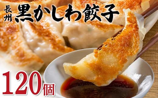 長州黒かしわ餃子 120個入り 手作り 生餃子 餃子 国産野菜  冷凍 化学調味料不使用 化学調味料無添加 らいちの餃子 黒かしわ 長州黒かしわ F6L-953