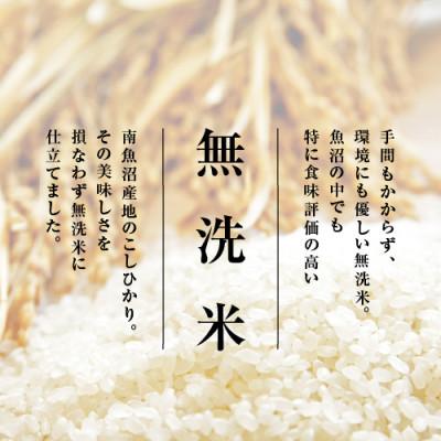 ふるさと納税 南魚沼市 【毎月定期便】南魚沼産こしひかり　無洗米　2kg全6回 |  | 01