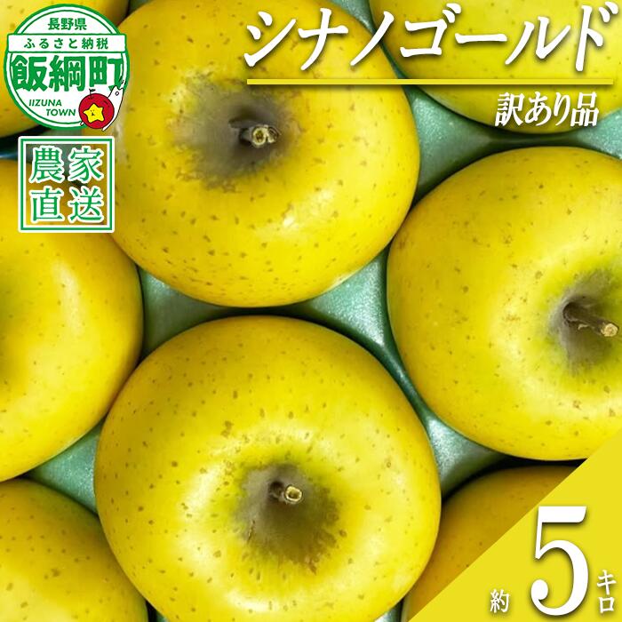 【ふるさと納税】 りんご シナノゴールド 5kg 訳あり アグリファーム小林 沖縄県への配送不可 〔 果物 フルーツ 林檎 長野 予約 農家直送 不揃い 規格外 5キロ 14000円 〕【令和8年度収穫分】 発送：2026年11月上旬〜