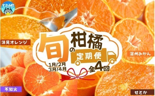 【3回定期便】【1・2・3・4月】旬の柑橘定期便 / みかん ミカン 柑橘 オレンジ 果物 くだもの フルーツ フルーツ定期便 和歌山【tkb416】