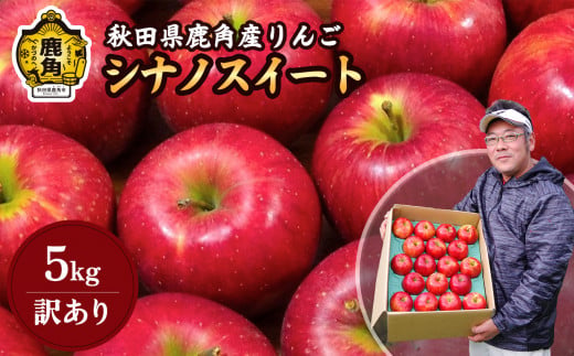 訳あり 秋田県鹿角産 りんご シナノスイート 家庭用 5kg【山麓園】食感 果汁 リンゴ 完熟 旬 県産 りんご お中元 お歳暮 贈り物 グルメ ギフト 故郷 秋田 あきた 鹿角市 鹿角 送料無料 ●2024年10月下旬発送開始