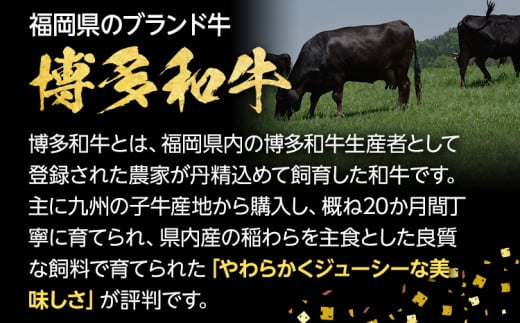 焼肉用肩ロース 400g ＆ ロースステーキ 400g 博多ゆずポン酢 360ml 牛肉 焼肉 肩ロース ステーキ 和牛 ぽん酢 焼き肉 お取り寄せグルメ ご当地グルメ 福岡