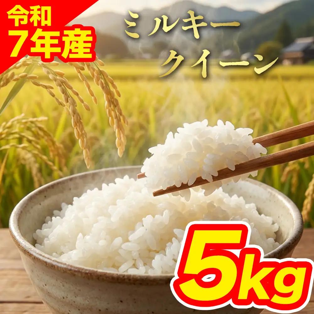 特別栽培米 ミルキークイーン5kg（アグロスタイル） 精米 白米 米 阿蘇市