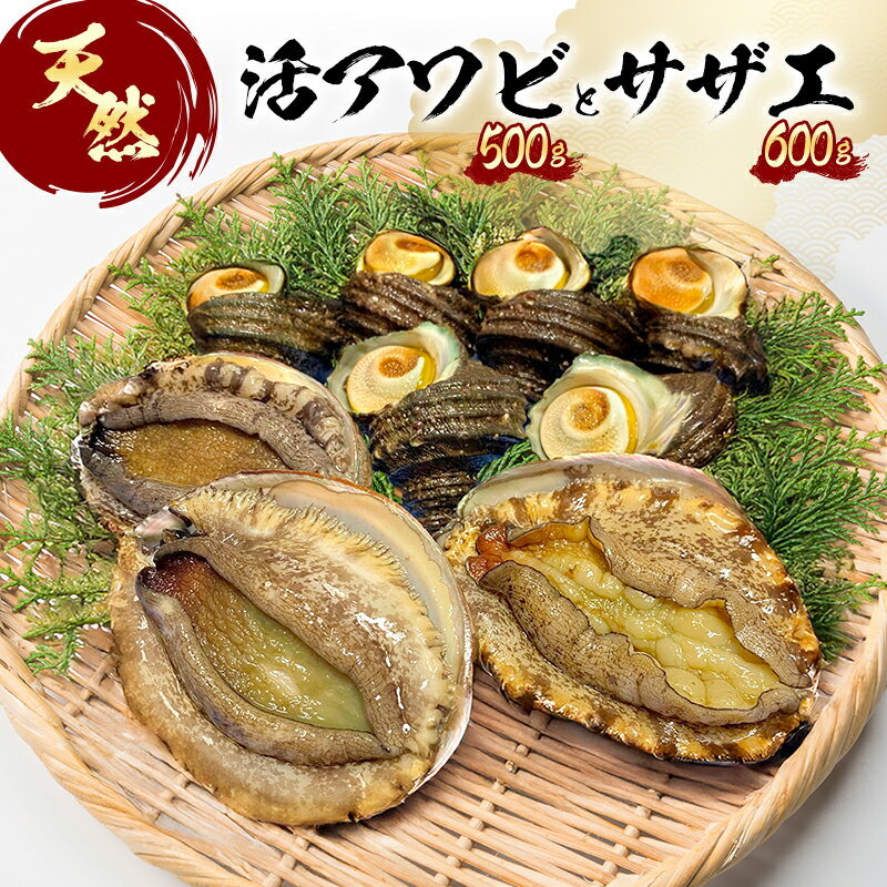 【ふるさと納税】天然 活アワビとサザエ（ アワビ 3～4個入り / サザエ 5～6個入） 刺身 貝 海鮮 BBQ 冷蔵配送 兵庫県 洲本市 淡路島