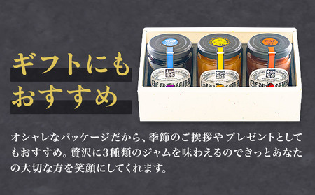 阿蘇 木之内農園 プレミアムシリーズ 3本セット 1本 150g×3 いちご ブルーベリー 不知火マーマレード《30日以内に出荷予定(土日祝を除く)》 熊本県 南阿蘇村 ジャム いちご ブルーベリー 