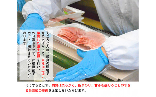 えころとん 豚 肉 4種計1200g　豚肉 しゃぶしゃぶ セット《60日以内に出荷予定(土日祝除く)》 ファームヨシダ ---so_ffarmy4syb_60d_23_17000_1200g---