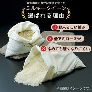 令和7年産 茨城県産 ミルキークイーン 精米・合計10kg（5kg×2袋）茨城県産のお米ミルキークイーンは、モチモチした食感が特徴の低アミロース米