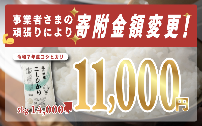 【寄付額見直し】【令和7年産】コシヒカリ 5kg（5kg × 1袋）