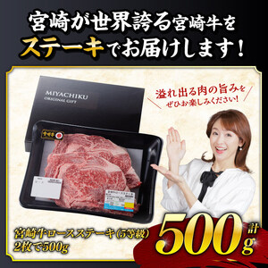 ５等級！宮崎牛ロースステーキ500g 【 肉 牛 牛肉 国産牛肉 黒毛和牛 宮崎牛 牛肉ロース 牛肉ステーキ 5等級牛肉 】