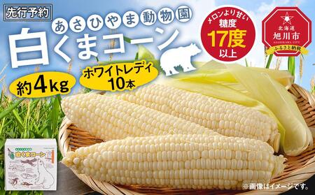 【先行予約】あさひやま動物園しろくまコーン約4kg(ホワイトレディ10本)2025年8月下旬～発送開始予定 | とうもろこし とうもろこし とうもろこし とうもろこし とうもろこし とうもろこし とうもろこし とうもろこし とうもろこし とうもろこし とうもろこし とうもろこし とうもろこし とうもろこし とうもろこし とうもろこし とうもろこし とうもろこし とうもろこし とうもろこし とうもろこし とうもろこし とうもろこし とうもろこし とうもろこし とうもろこし とうもろこし _00308