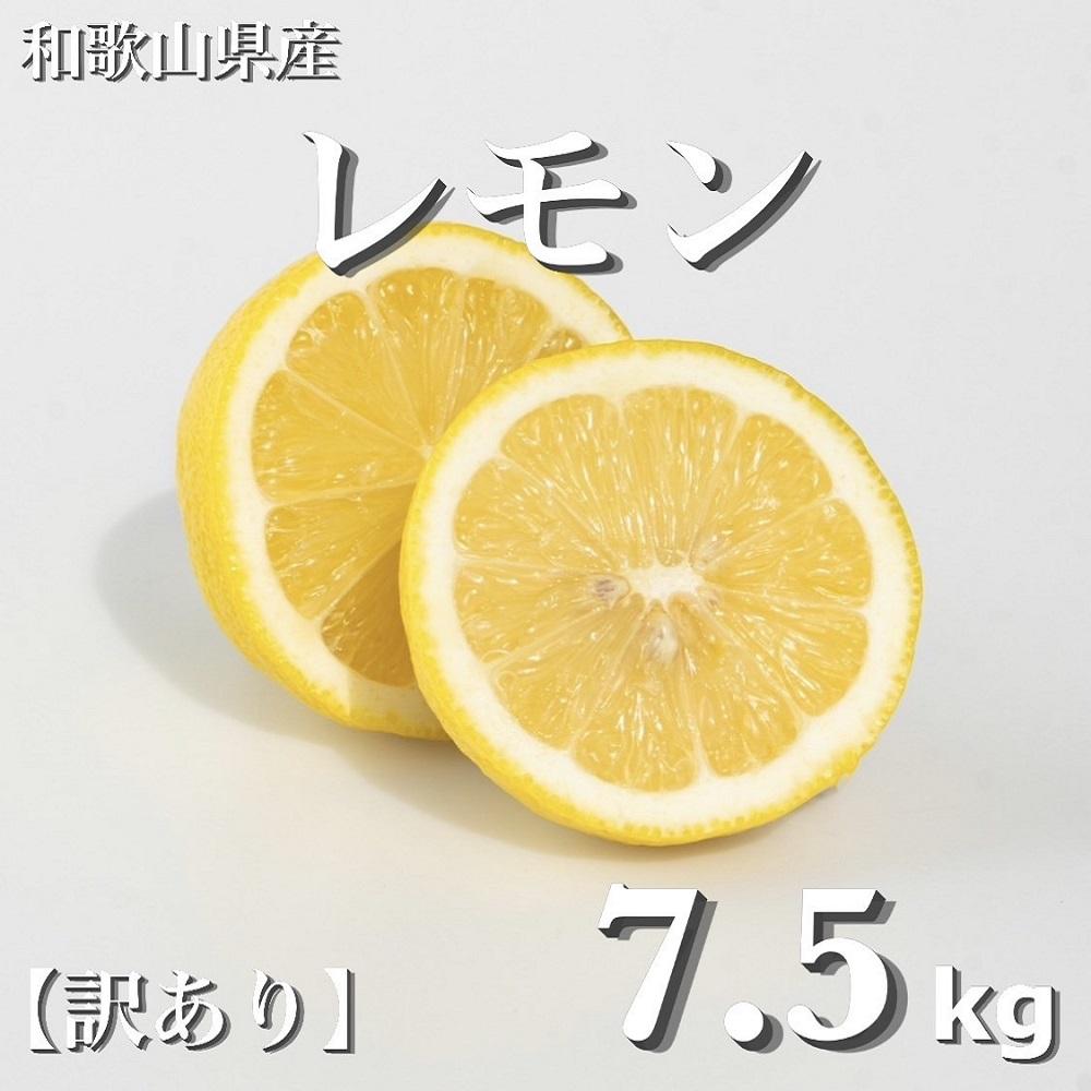 【ふるさと納税】和歌山産 レモン 7.5kg ［訳あり］ ［US2］ | レモン 柑橘 フルーツ 果物 くだもの 食品 人気 おすすめ 送料無料