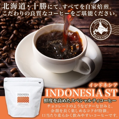 コーヒー豆 インドネシア 100g 2袋 鮮度を高めたスペシャルティコーヒー 北海道 帯広市