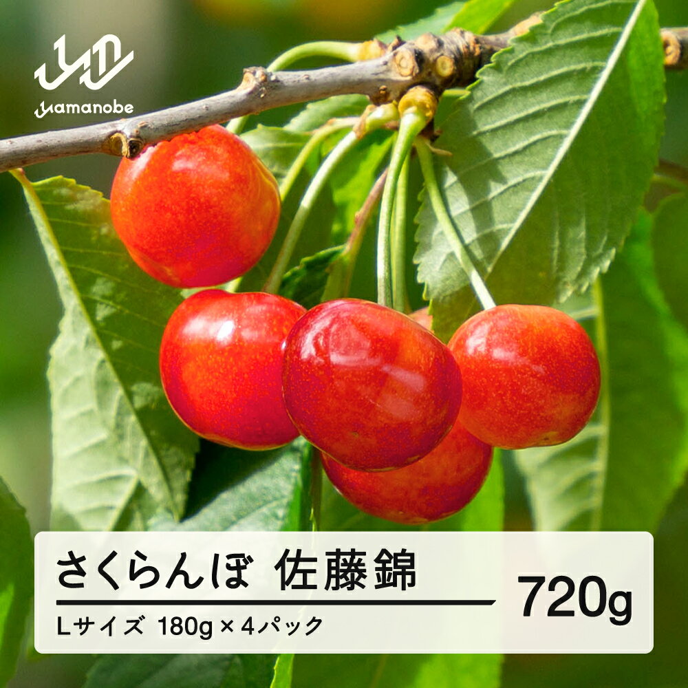 【ふるさと納税】《先行予約》2026年 山形県産 佐藤錦 さくらんぼ Lサイズ 180g 4パック入 ※沖縄・離島への配送不可 ts-snxlp720